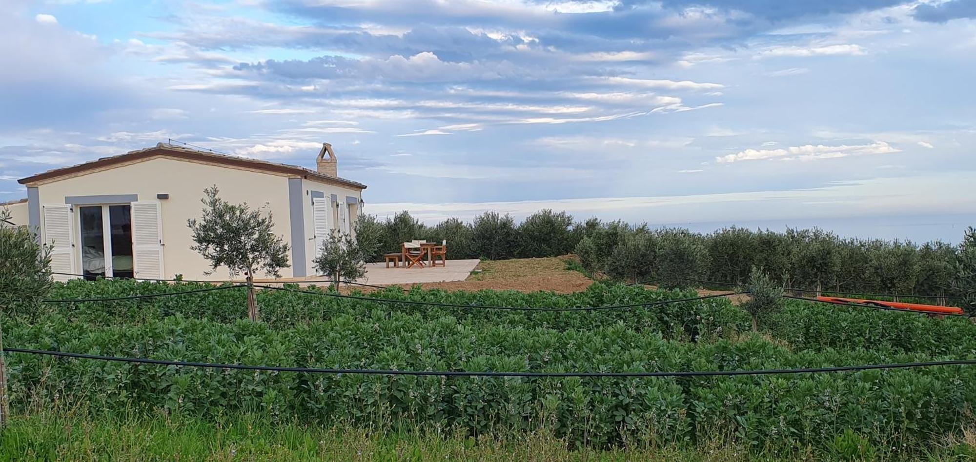 Agriturismo Mondomini Campofilone Exterior foto